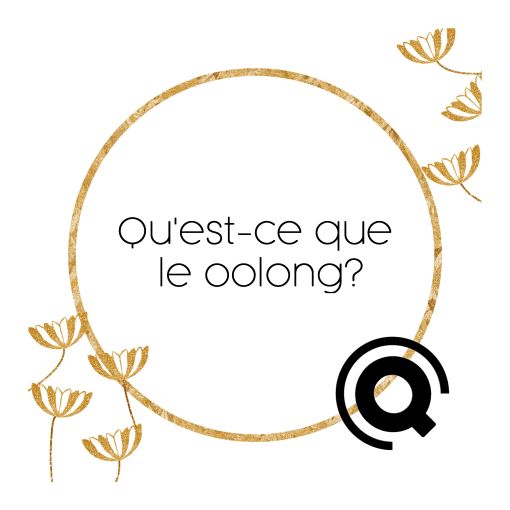 Qu'est-ce-que le oolong?